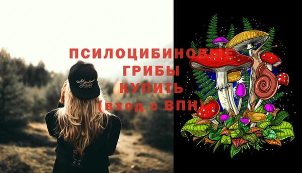 соль ск Бронницы