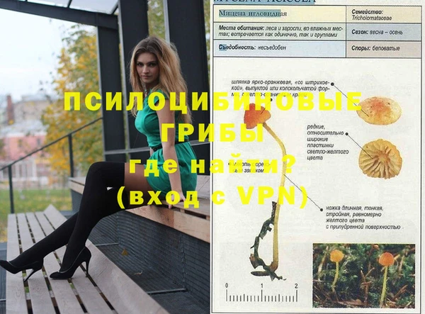 дурь Бугульма