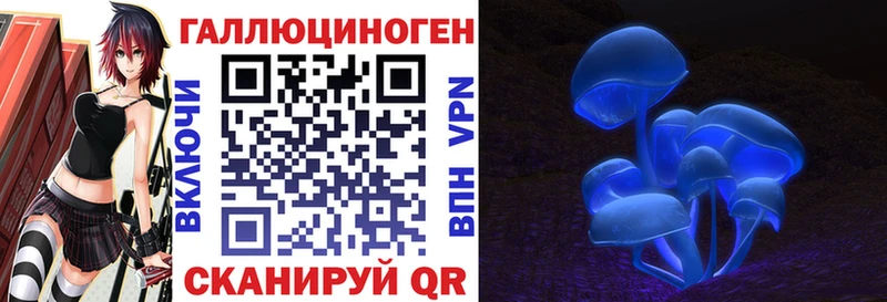 Галлюциногенные грибы Psilocybine cubensis  закладка  Тбилисская 